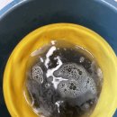 쌍용예가크리닝 이미지