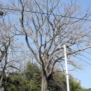 외눌마을(눌차마을)입구 이미지