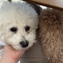 끼리끼리 이미지