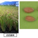 모잔들영농조합법인 이미지