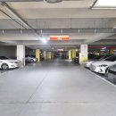 늘푸른단지공인중개사사무소 이미지