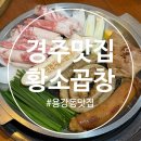 황소 | 경주 용강동 맛집 모다아울렛 근처 황소곱창 방문후기