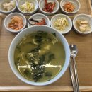 안덕보건지소 | [제주/서귀포]자연산 보말이 푸짐하게 들어간 보말 맛집 해조네