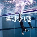 아미고스 | ［프리다이빙］ 부산 아미고스 다이브 프리다이빙 강습 체험 후기