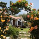 꼼지의 작은세상 이미지