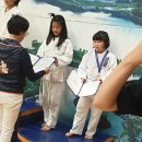TH용인대유도체육관 네이버블로그