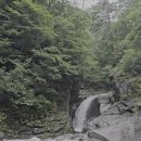 솔밭쉼터 이미지