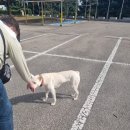 사격장길 이미지