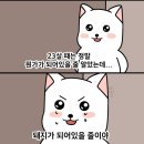 매일상회 이미지