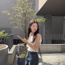 브레드릴리