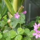 성환농장 이미지