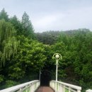 대전 뿌리공원 후기 - 족보 박물관, 호수공원, 넓은 잔디광장과 산책로
