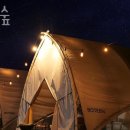 다온숲 이미지