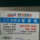 푸주옥 이미지