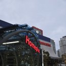 다이소 영양제 재고 : 동탄홈플러스 많음, 내돈내산 후기
