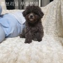 홈브리딩 이미지