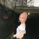 리즈블랑