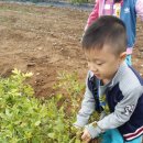 박달농원 이미지