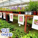 배바위농원 이미지