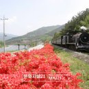 곡성-033 이미지