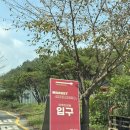 샵테라스 | 진주 카페| 진주 아이랑 가기 좋은 야외 테라스가 있는 카페 + 소품샵 &#39;마켓진양호&#39; 후기