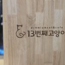 13번째고양이 이미지