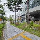 어진동_세종대성고등학교 이미지