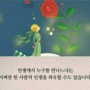 탑클래스인셀덤