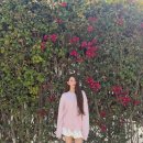 더 예쁨 이미지