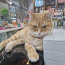 푸우동물병원 이미지