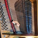 샬롬음악학원 이미지