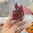 초간편한 조리로 캠핑요리로 딱 좋은 캠핑밀키트 밥앤고 순살 간장찜닭