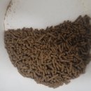 펄스온생명공학 이미지