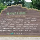 빨간민박 이미지