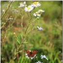 문막체육공원길 이미지