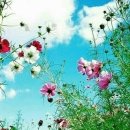 하루하루 이미지