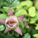 더덕이네 이미지