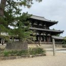 비디오여행 | 시간 여행 떠나기! 호류지 비디오 가이드 투어 솔직 후기