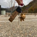 개별 화장실, 넓은 사이트 정선 라만차의 돈키호테 오토캠핑 🏕️