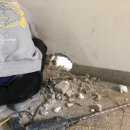 대한세차장 이미지