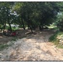 한울농장2 이미지