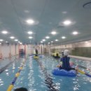 국가대표 어린이수영클럽 이미지