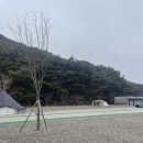 지에스25 개포포레스트점 | 보은 캠핑장 추천 | 고릴라캠핑장 in 속리산, 아쉬웠던 점과 장점 솔직 후기