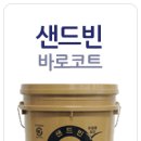샌드빈 이미지