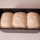 팬브레드 이미지