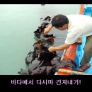 생일도 도서관 건립 기금 모으기 행사-생일도 다시마 미역 나누기! 이미지