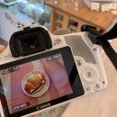 국립여성사전시관 | 2025.08 | 뜨거운 여름 밤은 가고