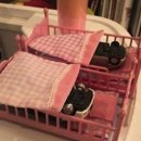 준 자동차 이미지