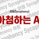 AI 아첨 시코팬시 사이코팬시 뜻과 경험 | AI 환각 보다 위험한 AI 아첨을 피하는 방법
