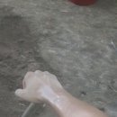 김영배농장 이미지